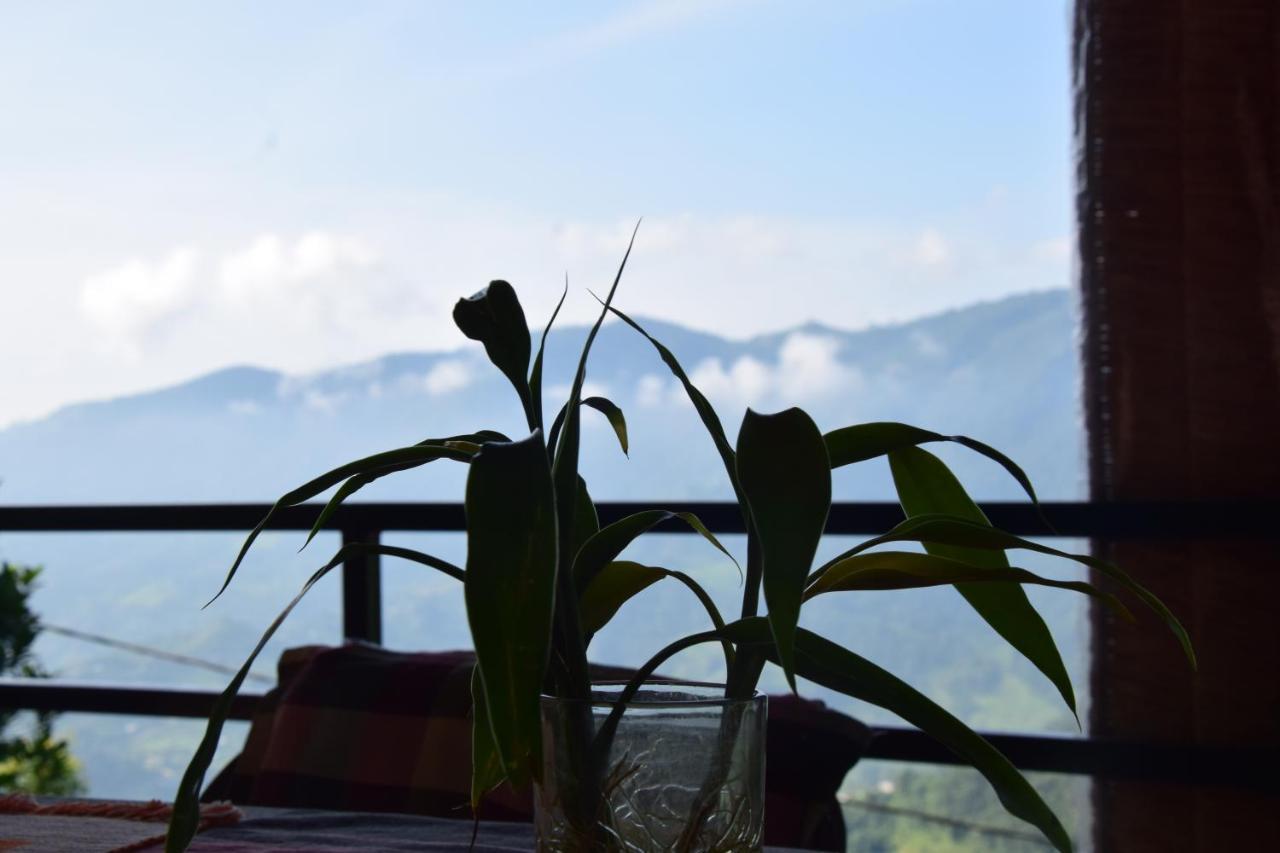 Siddhartha Garden Ayurveda Hotell Pokhara Eksteriør bilde